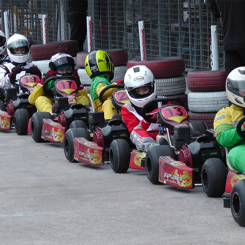 Go Kart Pro High Speed Kids Racing Go Karting Scooter Adult Electric Racing Buy Go Kart Pro High Speed Kids R Go Kart for Sale