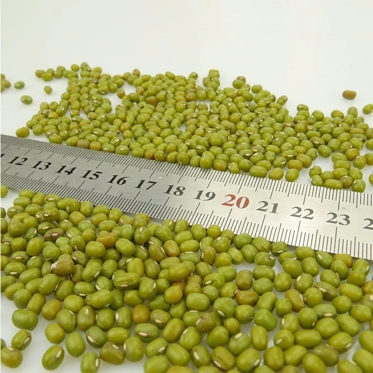 Premium Quality Whole Green Mung Bean Shelled Green Beans