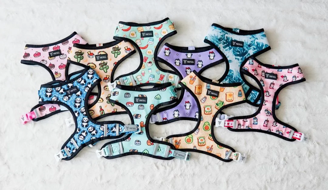 Designer Retractable Rope Padded Dog Bow Ties Pet Collar Bandanas And Leash Light And Poop Bag Harness Adjustable Custom Set