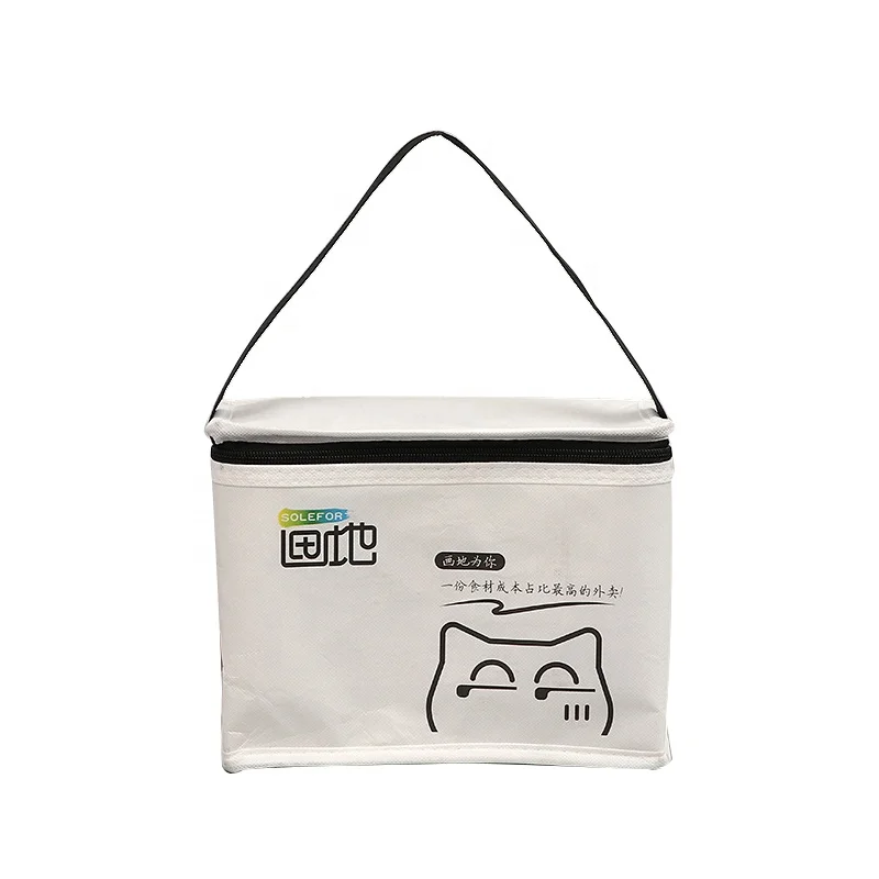 Accept customized logo new cool carry packing insulated food delivery non woven insulated lunch thermal cooler bag