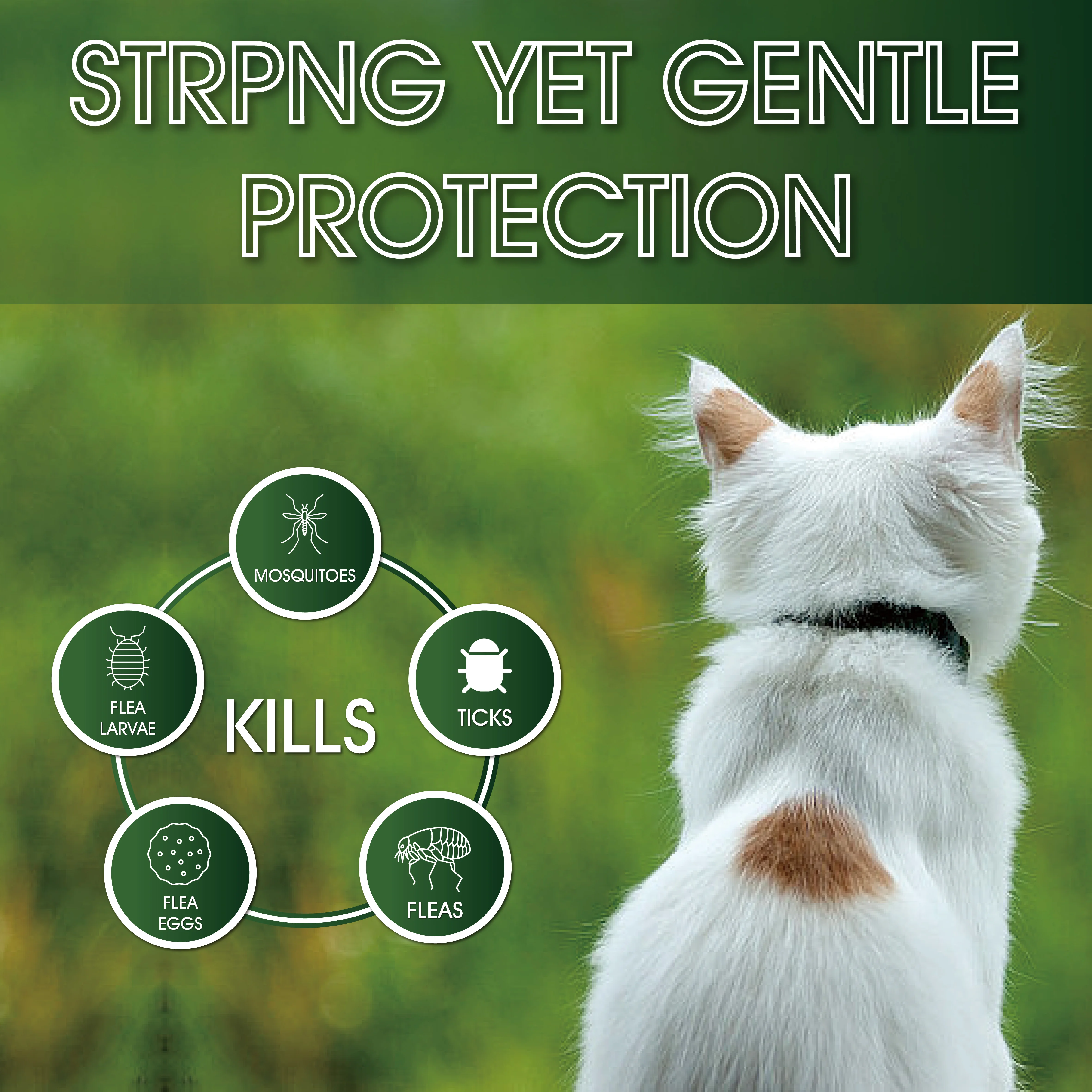 17OZ Natural Flea and Tick Spray Safe for Pets & Families Effective Indoor House Mouse Pest Control