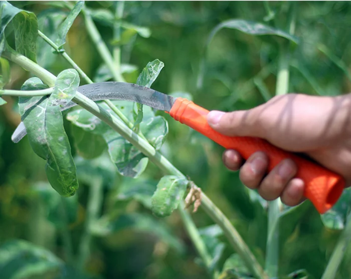 Manufacturers Farm Portable  Forged Sharp Blade Agriculture Sickles Garden Tools