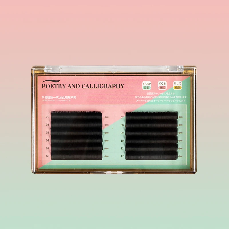 Wispy Super Strong Professional Accent Clean Look Eye Make-up 24 hour Lashbox Paired with Volumized Eyelashes Extension