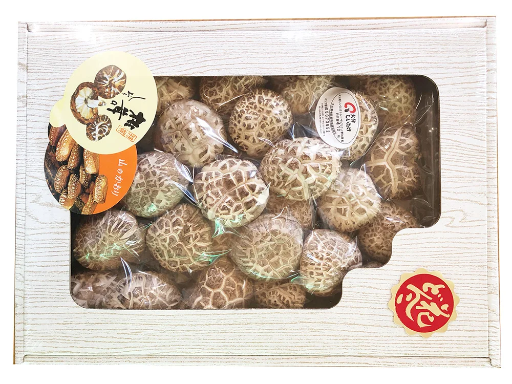 Japan Wild Shiitake dried food dietary fiber food supplement raw material