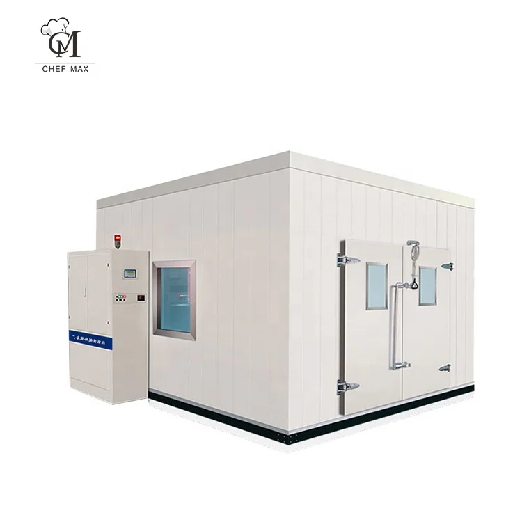 Commercial customize cold storage container fish cold storage room large cold room for meat storage