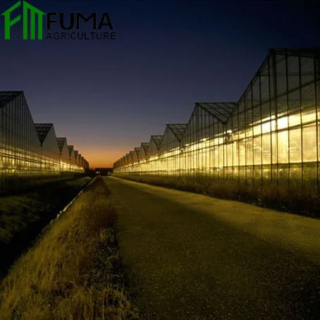FM hot-dip galvanized steel structure glass agricultural green house net equipment used greenhouse cooling system for sale