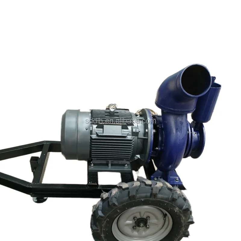 High Quality 330v Max Flow Water Pump Cast Iron agriculture Irrigation Pumps