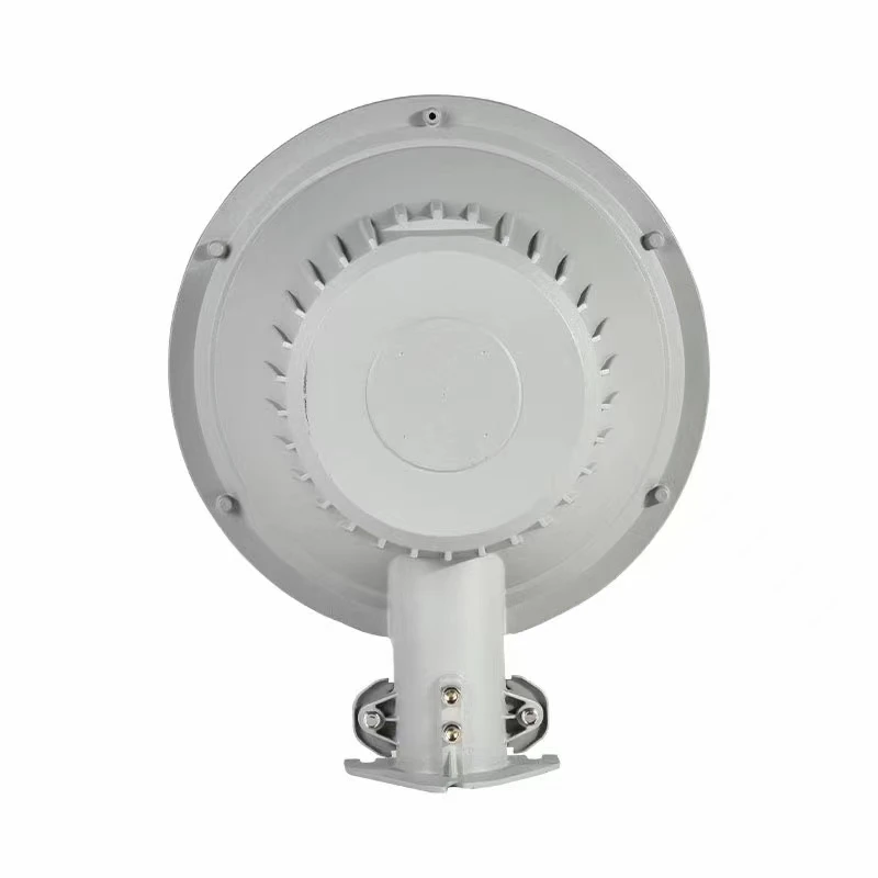 Probe Wall Mounted Street Light