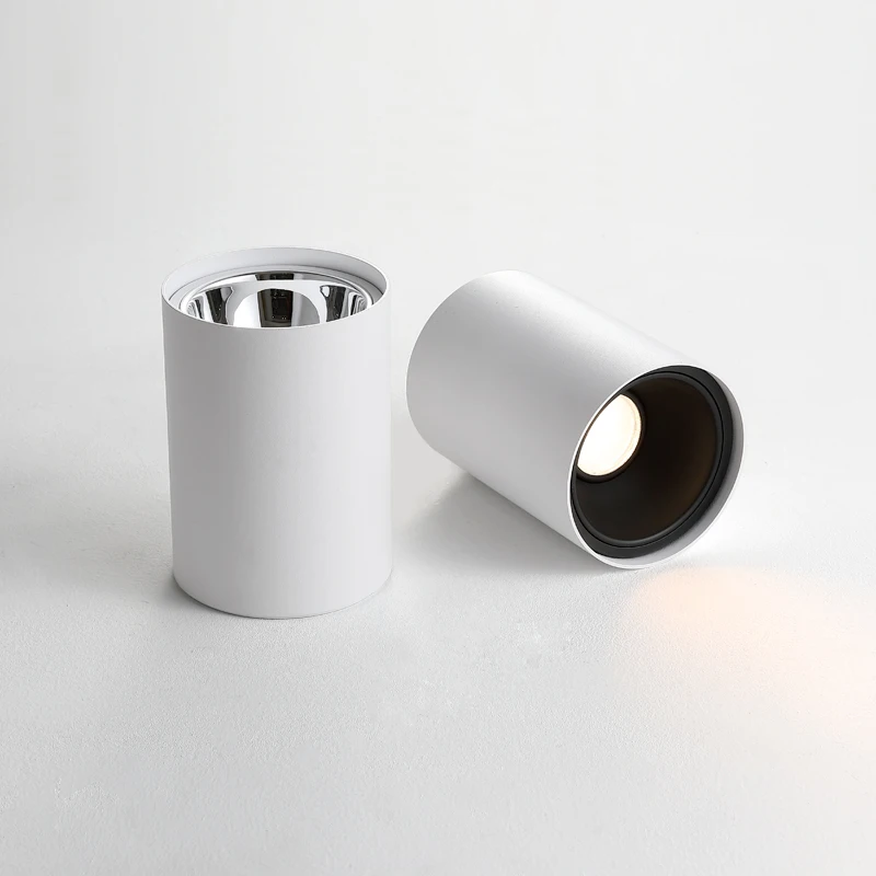 LED Ceiling Downlight 10W Modern Design Ceiling Spotlight For Home Hotel Decoration Ceiling Mounted LED Downlight Fixtures