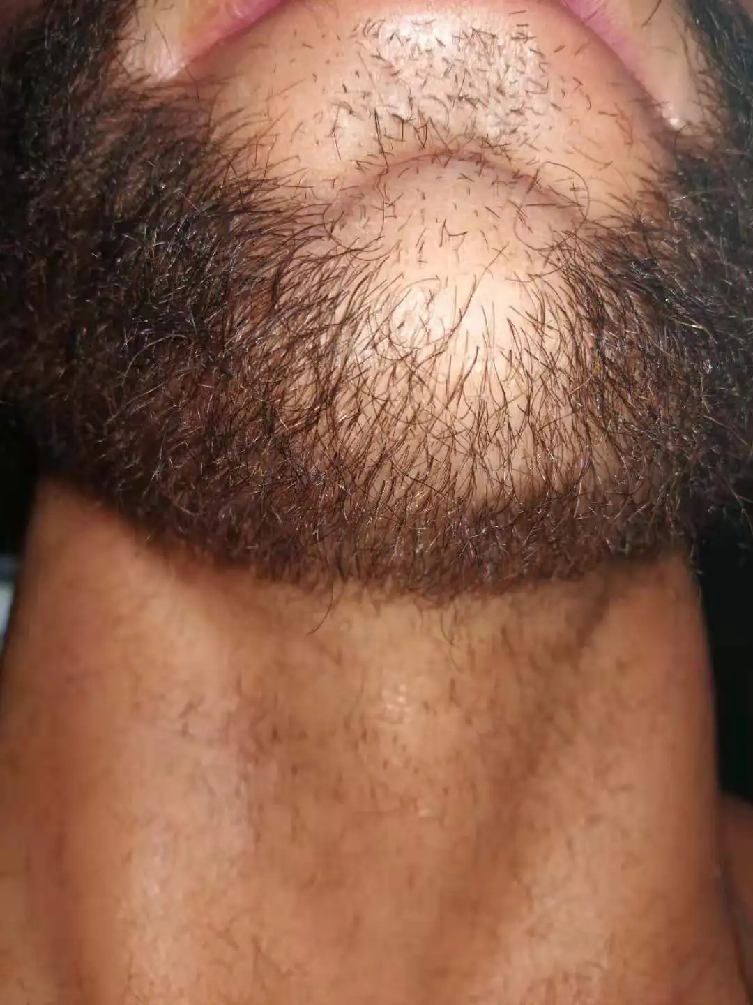 Wholesale Custom Make 1 Scale Celebrity Bust Wax Figure For Sale