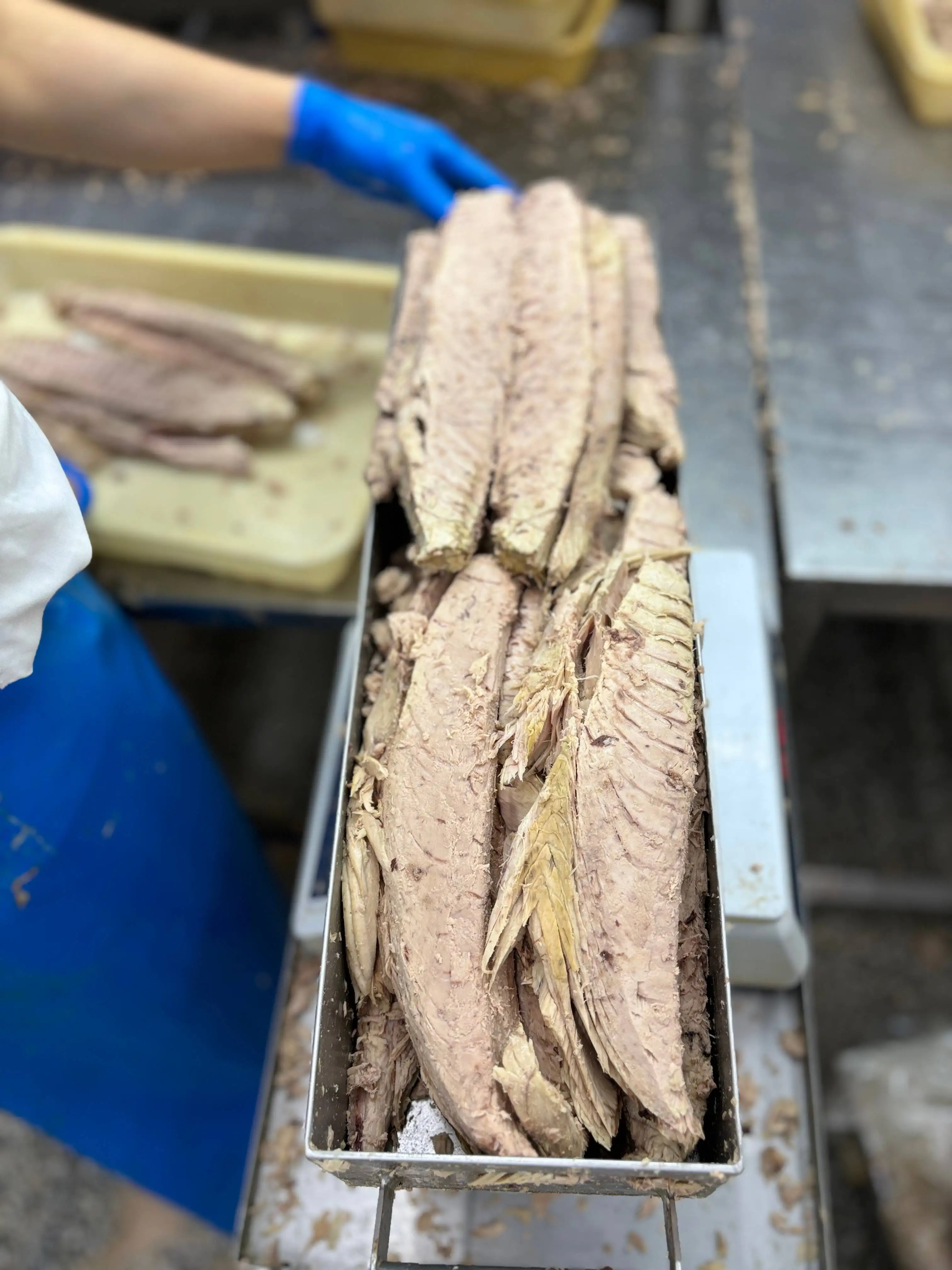 Exclusive 7.5kg Vacuum Packaging Frozen Precooked Skipjack Tuna Loin Frozen Red Snapper Fillet Fresh Yellowfin Tuna Loin