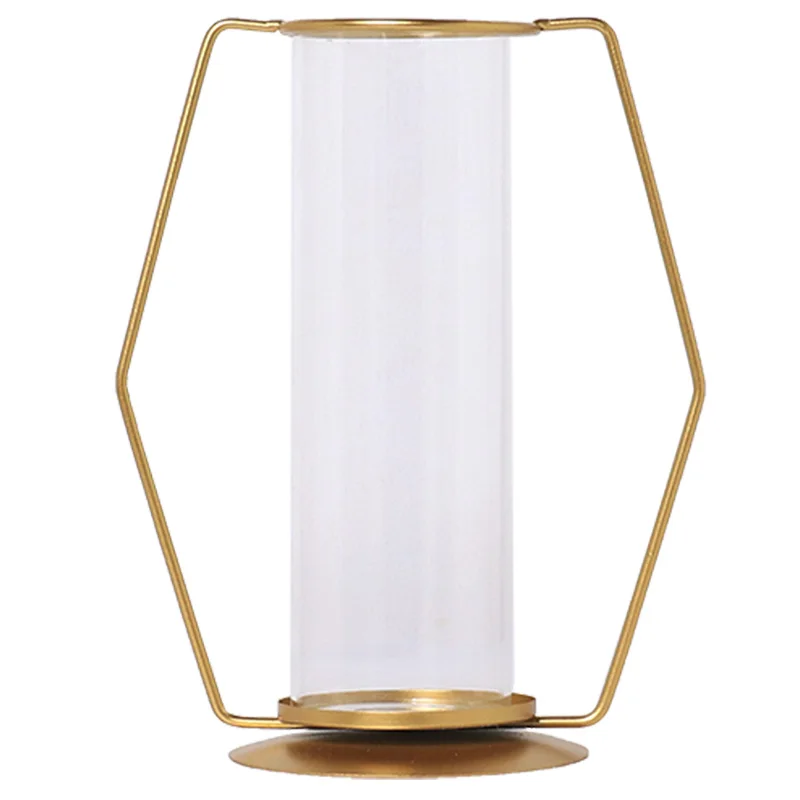 Plant Round Glass Bottle Hydroponic Glass Vase For Flower Or Water Plant With Metal Support For Home decoration