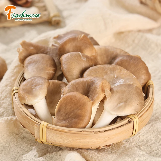 buy fresh brown oyster mushrooms for sale with great price