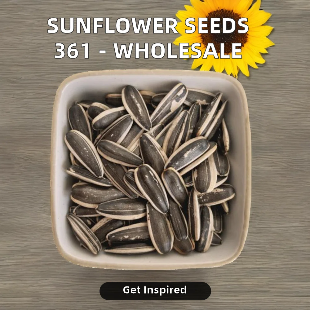 Wholesale Chinese Roasted Sunflower Seedsoriginal flavor Melon Seeds 361 Processed