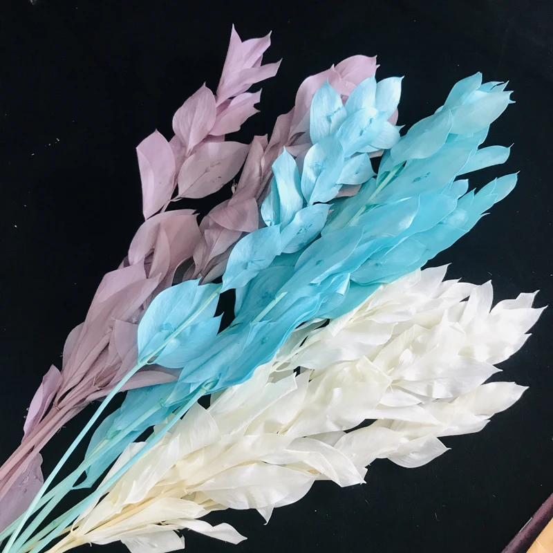 Ruscus Leaves Dried Flower Arrangements Decoration Natural Preserved Flowers Bleached Orange Leaves Italian Israel Ruscus Leaves