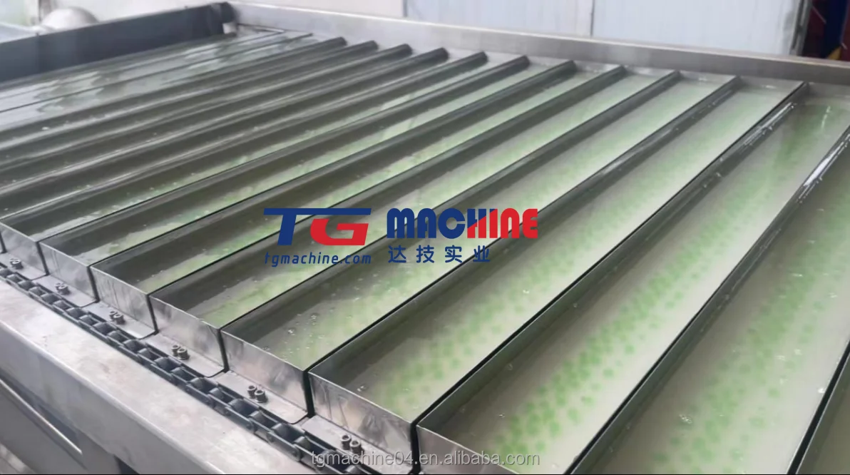 High-Efficiency Boba Ball Equipment Syrup-Filled Boba Pearl Machine Agar-Based Boba Production Line