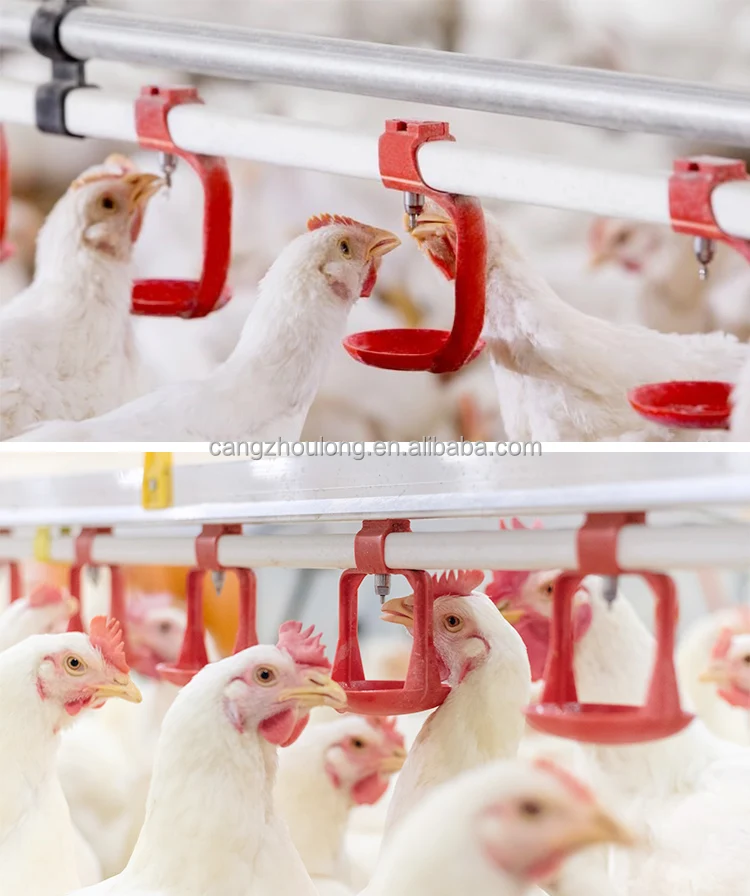 ZB LM 06 Nipple Drinker Rabbit Broiler Poultry Water Line System Stainless steel Chicken Nipple Drinker Automatic