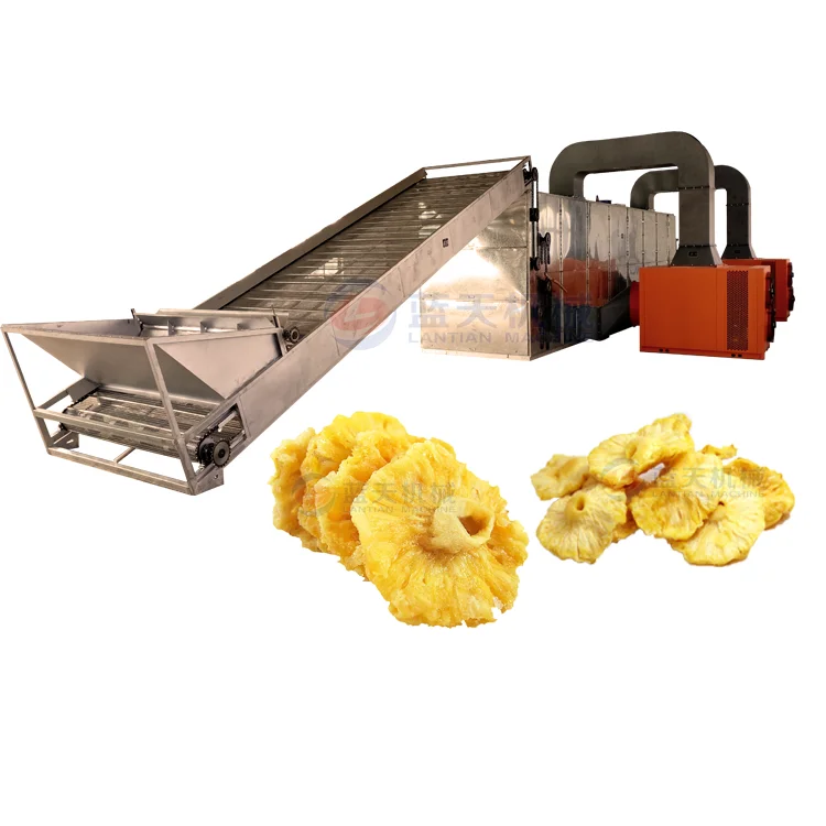 
Heat Pump Pineapple Fruit Drying Machine Line 