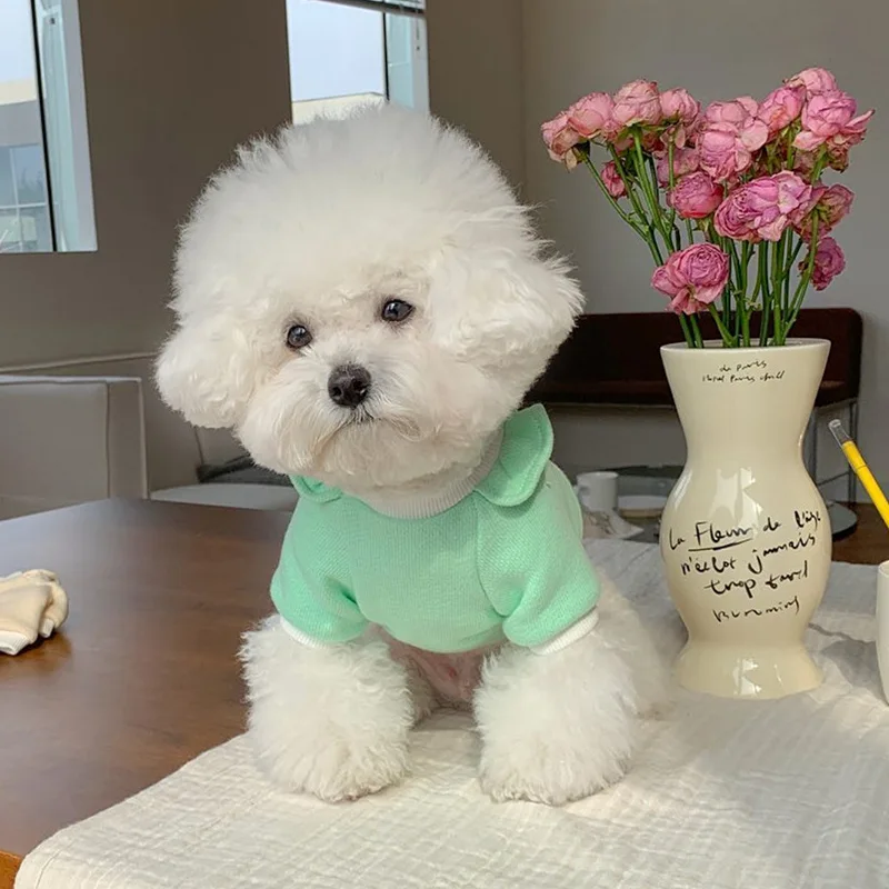 Autumn and Winter puppy dog Smiley flower flying sleeve sweater cat two feet apparel small and medium-sized dogs pet clothes