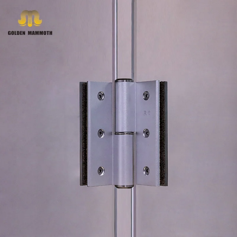 Free opening door closer hinges Space Aluminum Hydraulic Slient Soft Closing BH-type Hinge for Glass Door