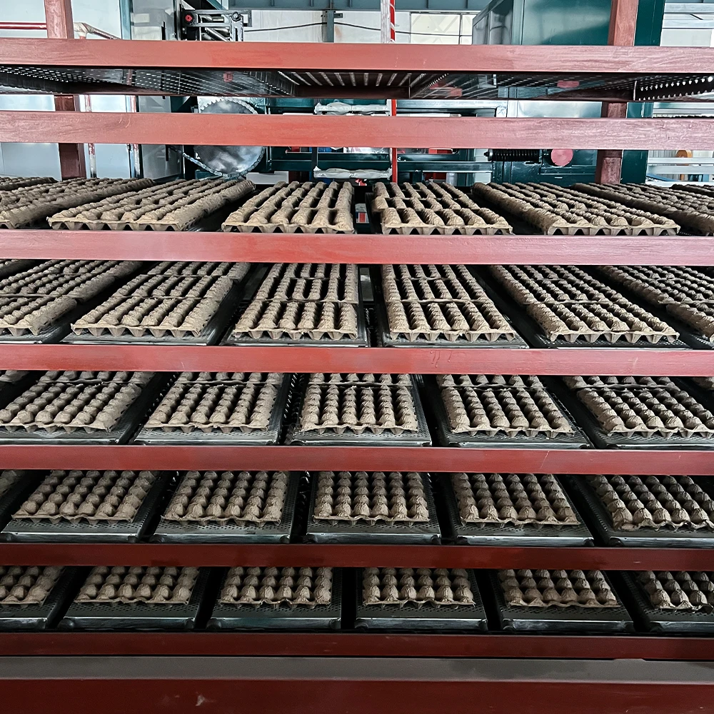 Waste Paper Recycling Egg Carton Tray Machine New Cheap Price Small Business Fully Automatic Paper Pulp Egg Tray Production Line