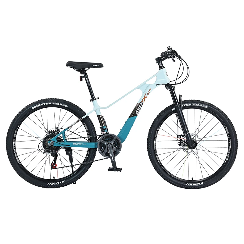 Wholesale 24 Speed Magnesium Alloy Frame Bicicleta 2.5 Tires Bicycle 24 26 inch Adult Cycle Mountain Bike for Men