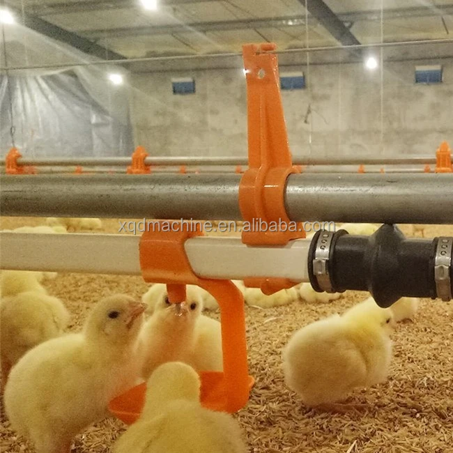 semi-automatic feeding system Chicken Waterer Adaptor for Nipple Drinker System, Auger Feed System for Poultry House