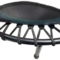 Factory outlet sports equipment trampoline mini cardio training trampoline