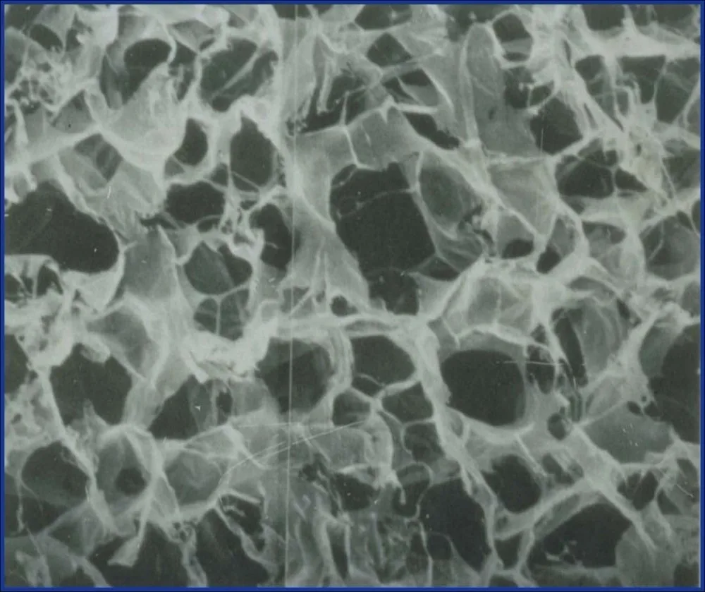 Dura substritute DuraFrame class III implant medical consumable device type I collagen biological membrane