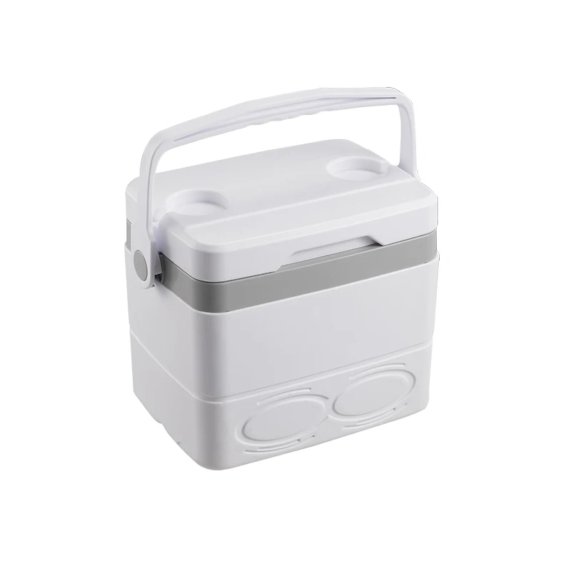 Wholesale Car Plastic Cooler Customize color Ice Cool Box Lockable Small Insulated Cooler Box 8.5L