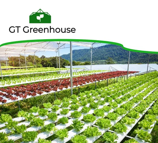  Теплица системы Aquaponic для