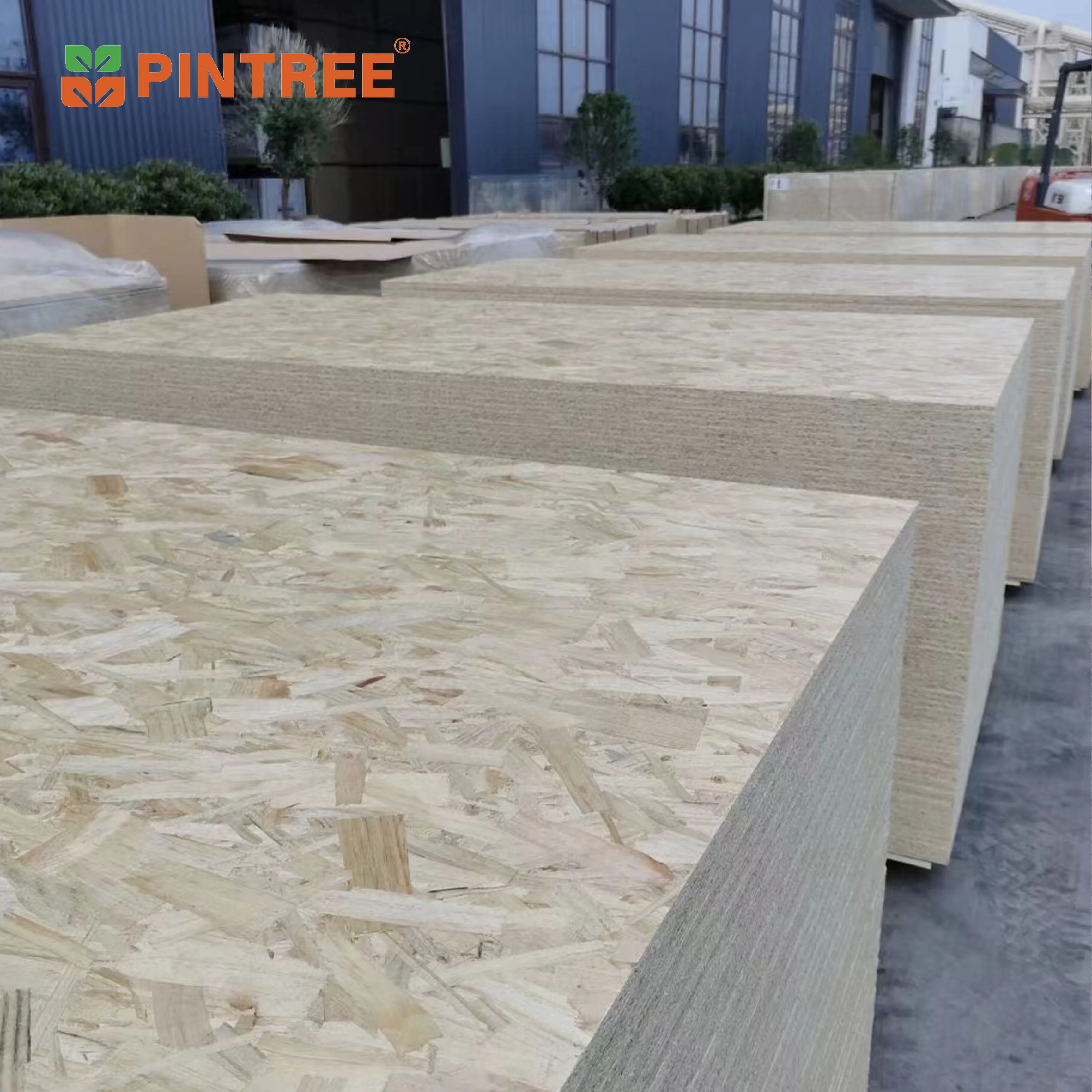 commercial Birch Pine construction osb 18m glue MDI for office with cheap price