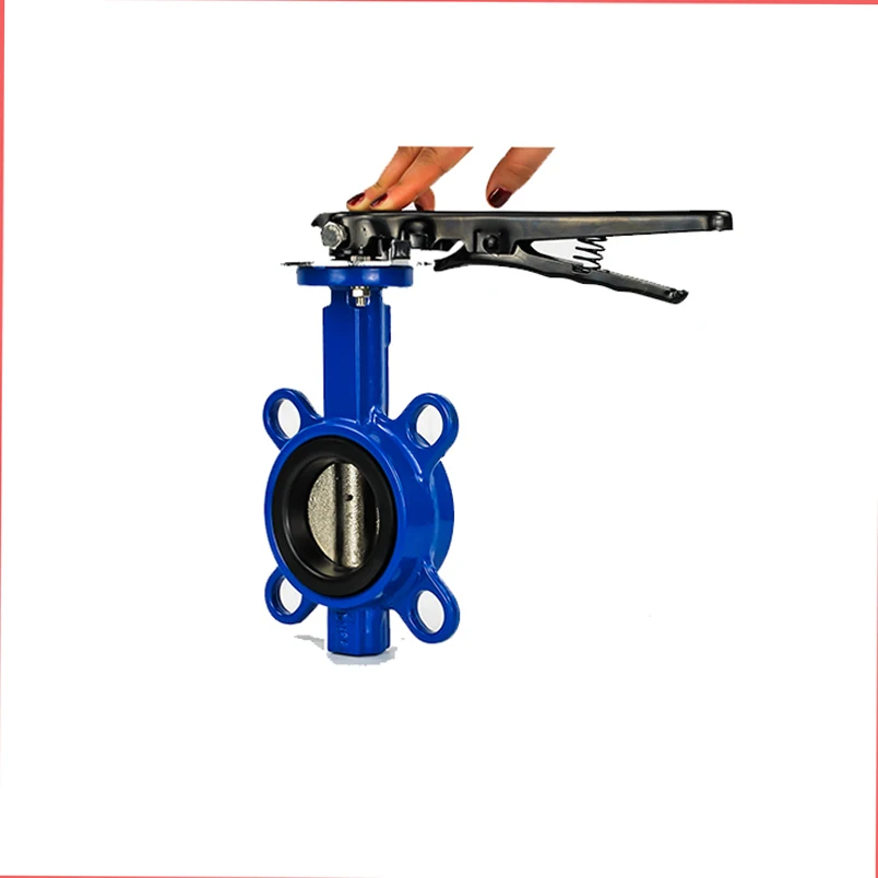 Большой диаметр расширение вафли двойное ручное уплотнение фланцевый скрытый буфер наклон диск Бабочка обратный клапан