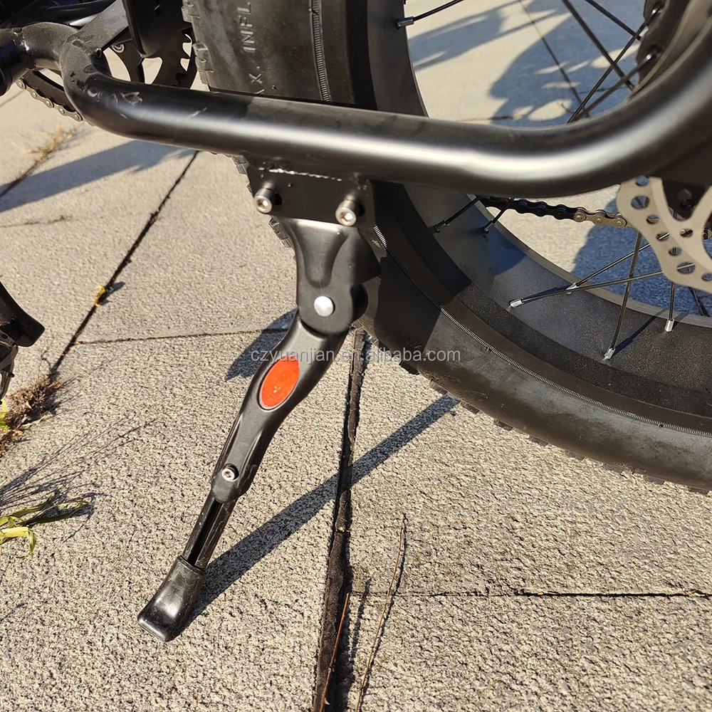 20inch ebike electric bicycle bicicleta electrica 25-Speed 250W 15AH electric+bike