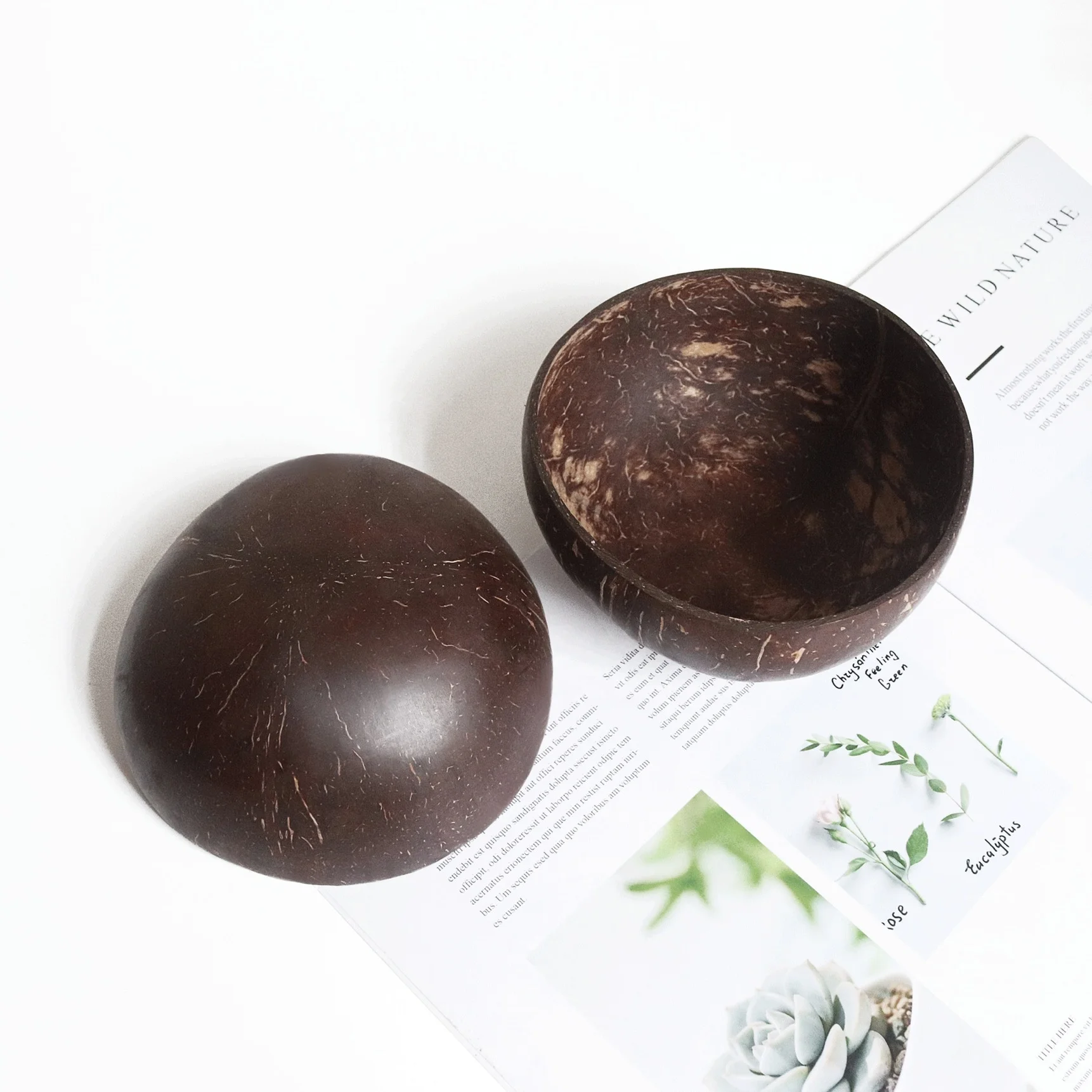 Natural Eco Friendly Coconut Shell Bowl Coconut Fruit Salad Noodle Bowl Handmade Wooden Bowl for Kid