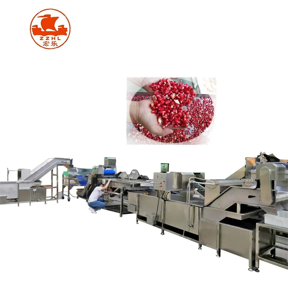 Full Automatic Industrial Pomegranate Passion Fruit Juice Making Machine Seed Separator Juicer Processing