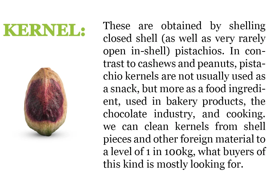 High quality bulk pistachio nuts wholesale used in bakery products