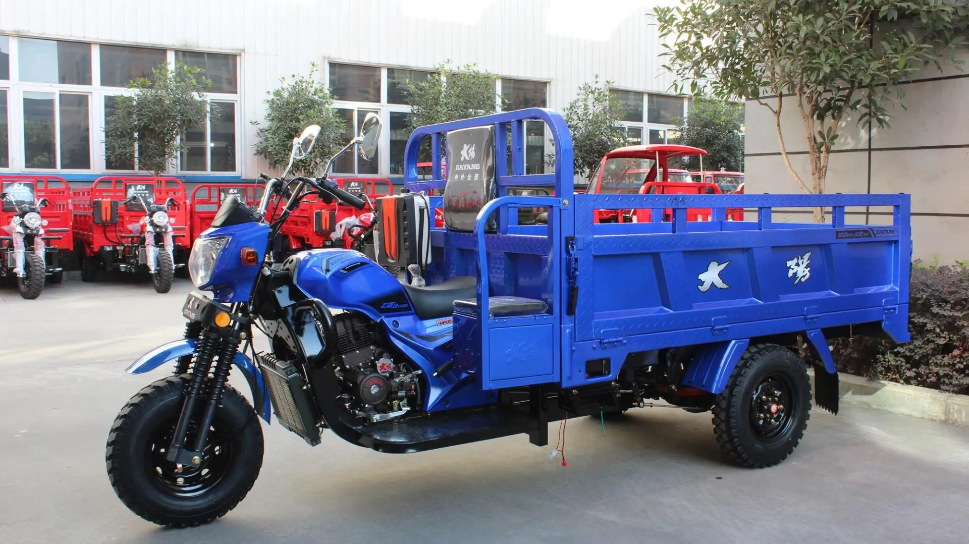 Улучшенный двигатель с эффективностью 250cc грузовой мотор тримото Новая цена автоматическая трехколесная электростанция