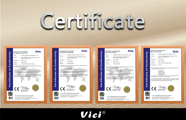 vici  833 dmm 17.png