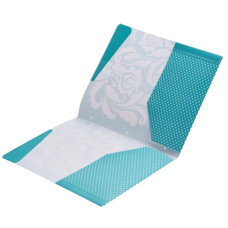 wholesale factory export prong file  folder with two pocket customized written board file folder