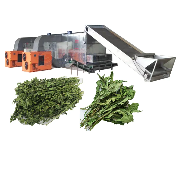 
Continuous Alfalfa And Hemp Mesh Belt Dryer Drying Machine 