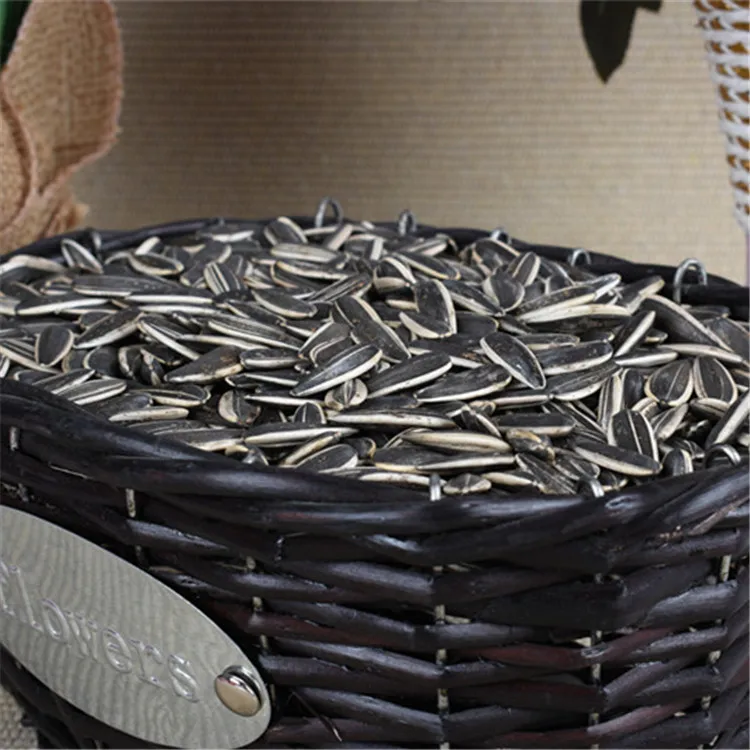 Семена подсолнечника Ouji Pure 361 Украина выращивание Урожай 2019 из Китая; Нея 0.3% макс. dutching 8% в течение 15 дней черного цвета