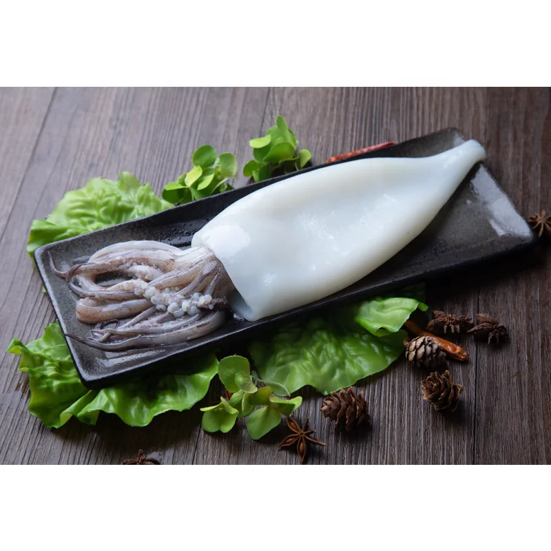 squid good price frozen loligo squid on sale  squid T+T tube/tentacle