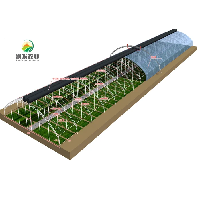 Single-Span Greenhouse Equipped Ebb And Flood Tray Tunnel Film Greenhouses For Planting Vegetable