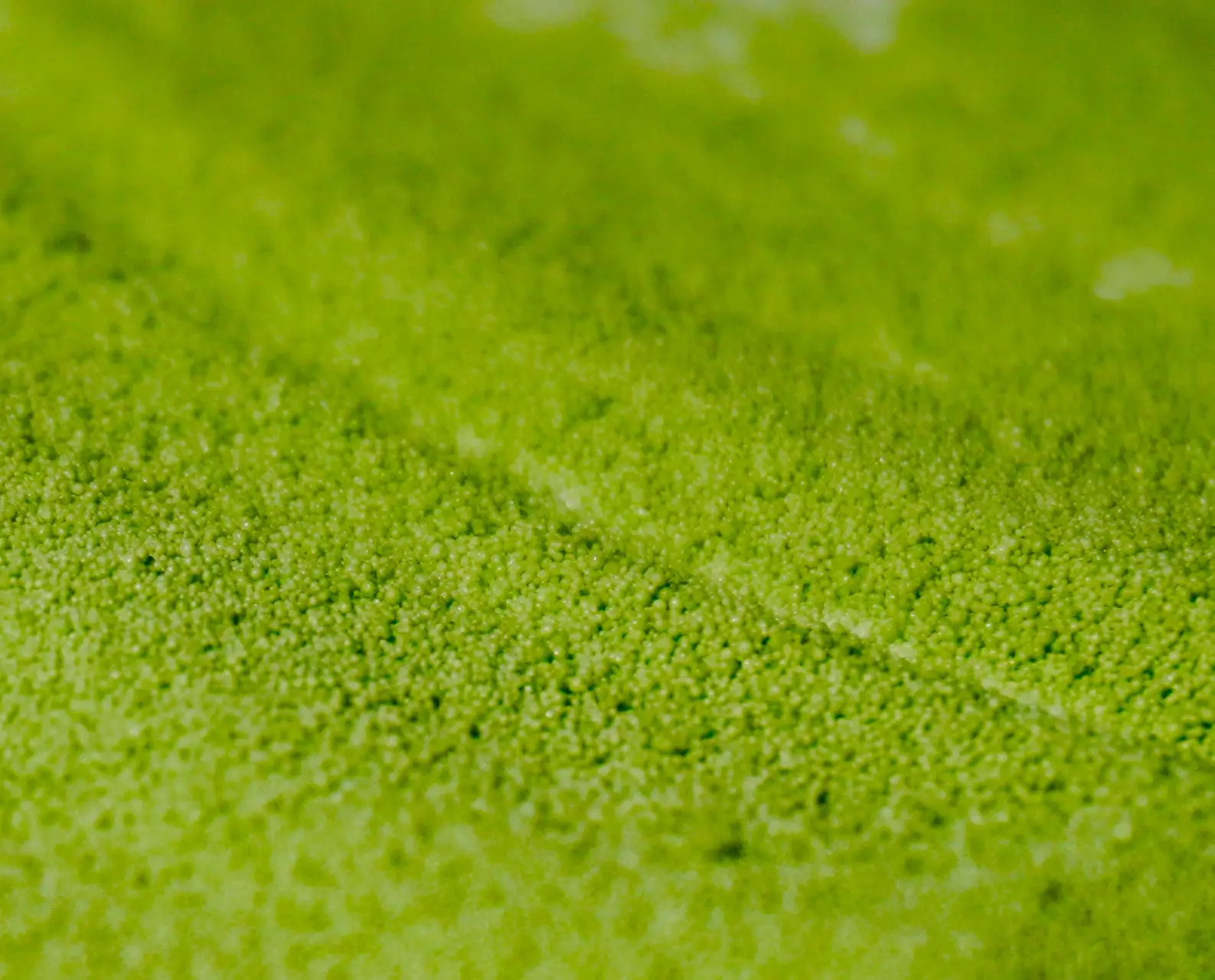 Biostimulant Agriculture Fertilizer Alginic Acid Water Soluble Seaweed Organic green seaweed micro particle Fertilizer