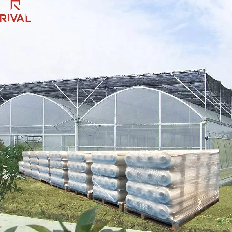 Greenhouse Plastic Film 200 Micron for Agricultural Usage and Greenhouse Tunnel Greenhouse Plastic film for Vegetables/Flowers