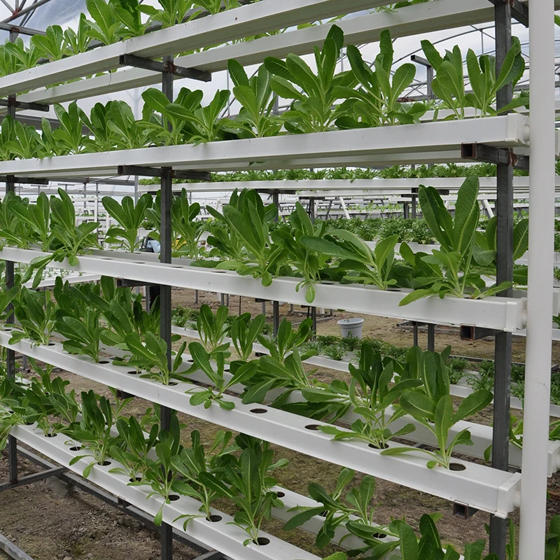 Soilless Water culture system Vertical Hydroponics NFT channel garden grow kit Greenhouse Hydroponics System