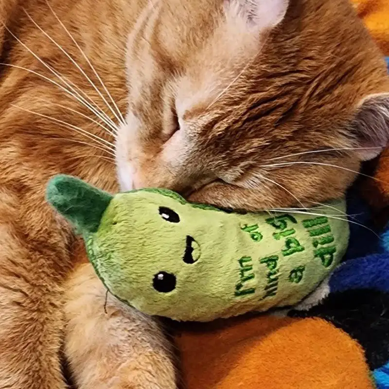 Wholesale Green Cucumber Plush Toy Eco-friendly Training Cat Interactive Puzzle Plush Chew Toy With Catnip Pet Supplies