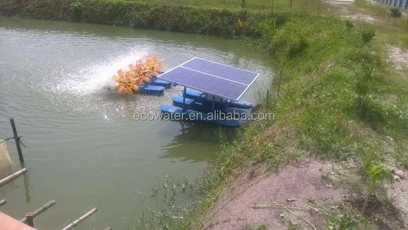 Ecoaquaculture solar panels powered paddle wheel aerator, solar aerator