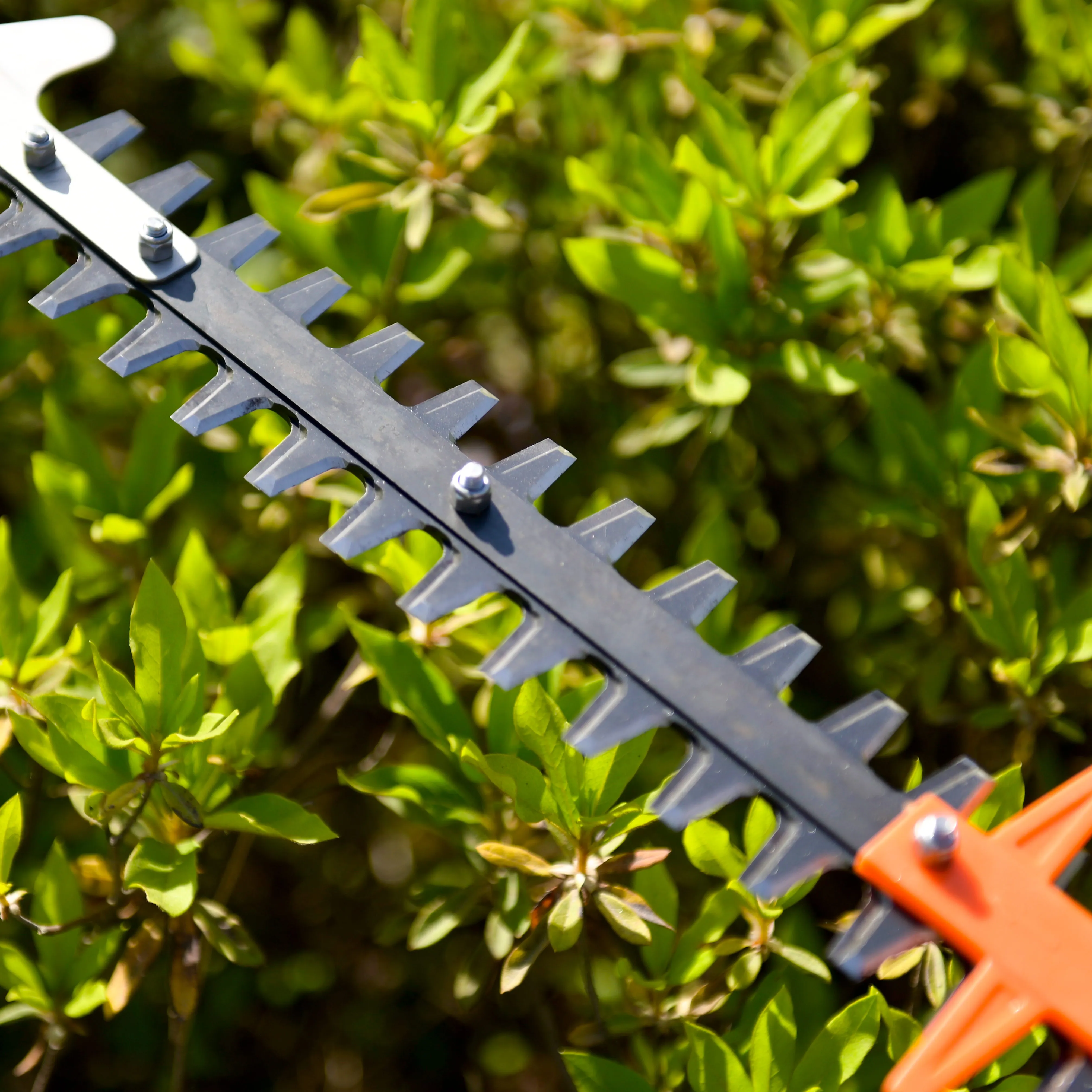 Nplus  garden tool lithium battery bush hedge cutter trimmer